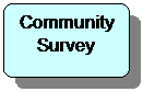 Flowchart: Alternate Process: Community Survey